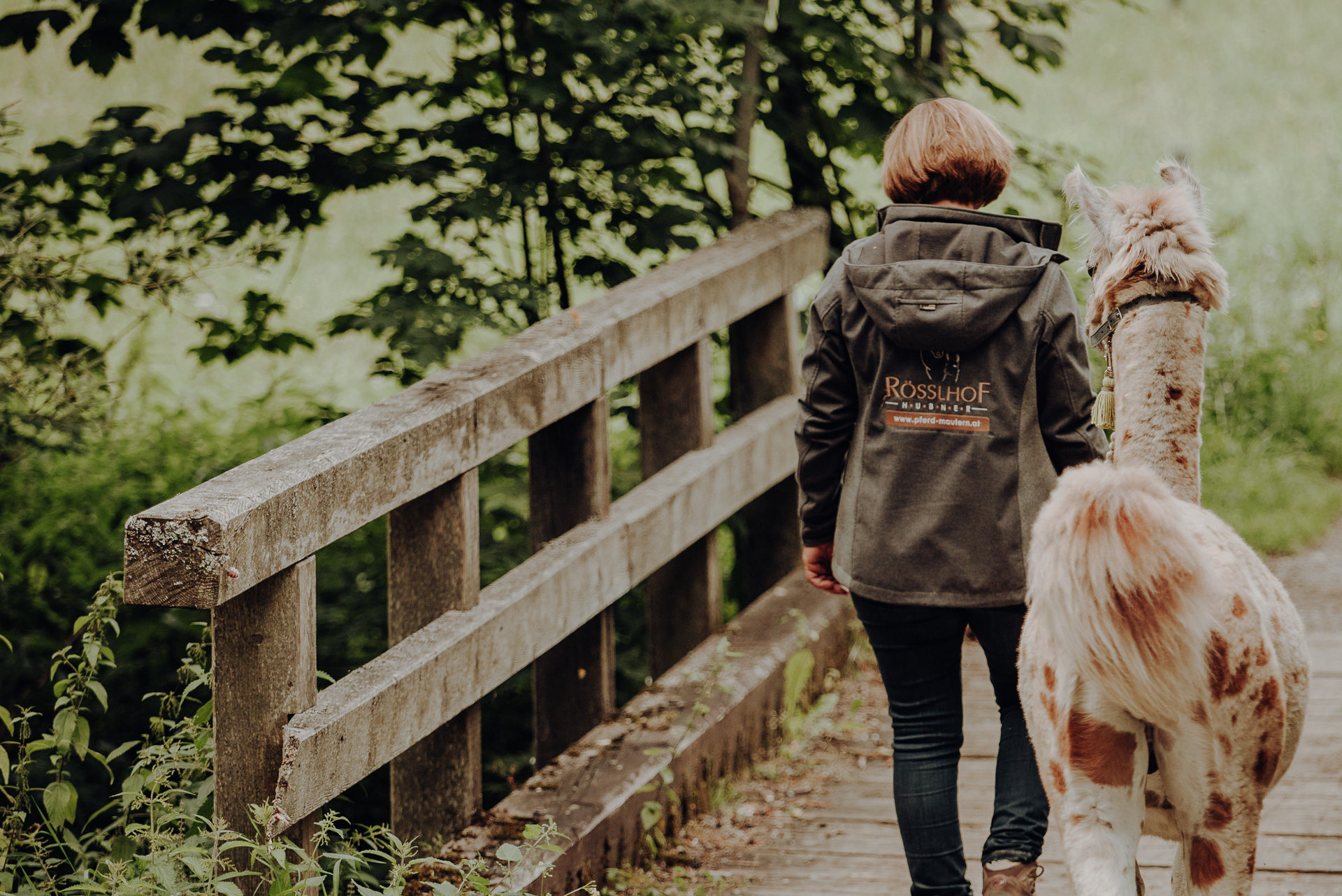 Lama Wanderungen