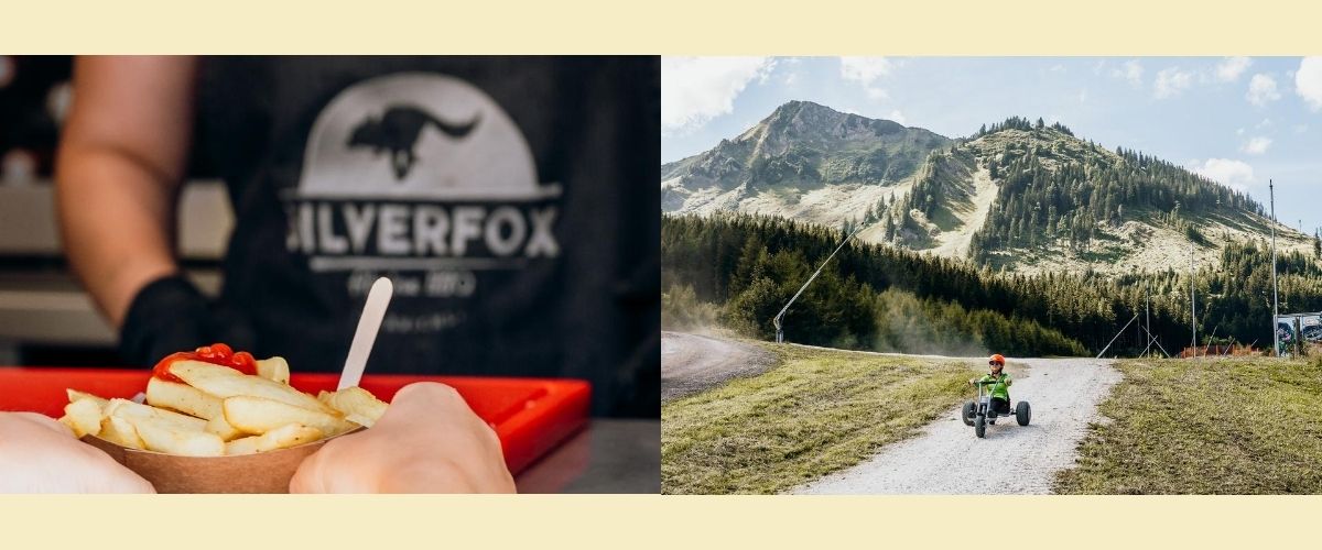 Alpfox Berg- und Skischule