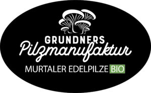 Logo Grundner