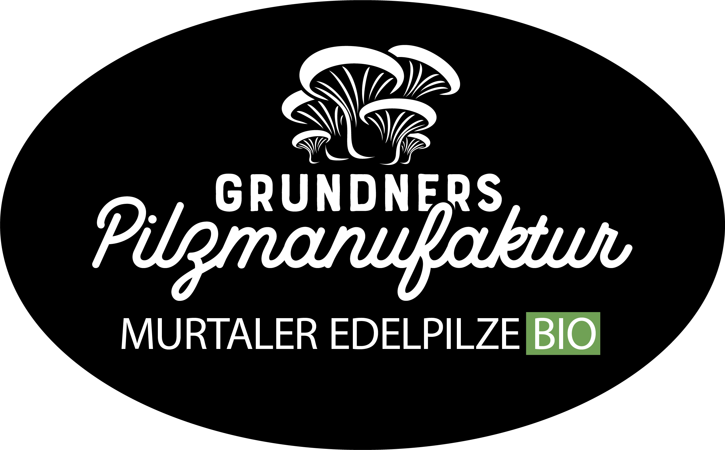 Logo Grundner