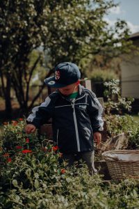 Gartenerlebnisse in der Kindergärtnerei