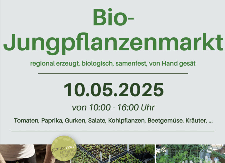 10. Mai ist Bio-Jungpflanzenmarkt bei Gemüsemacherei